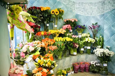 Kwiaciarnia Niebieska